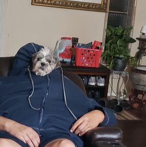 Meet your Posher, Arijela